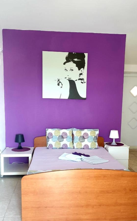 Arts Room Jasmina With Sea View Bikers And Pets Are Welcome Starigrad Paklenica Eksteriør bilde