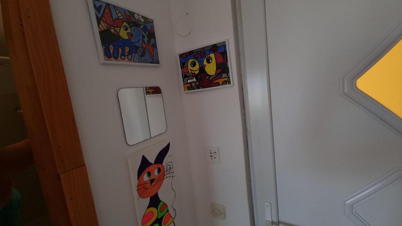 Arts Room Jasmina With Sea View Bikers And Pets Are Welcome Starigrad Paklenica Eksteriør bilde