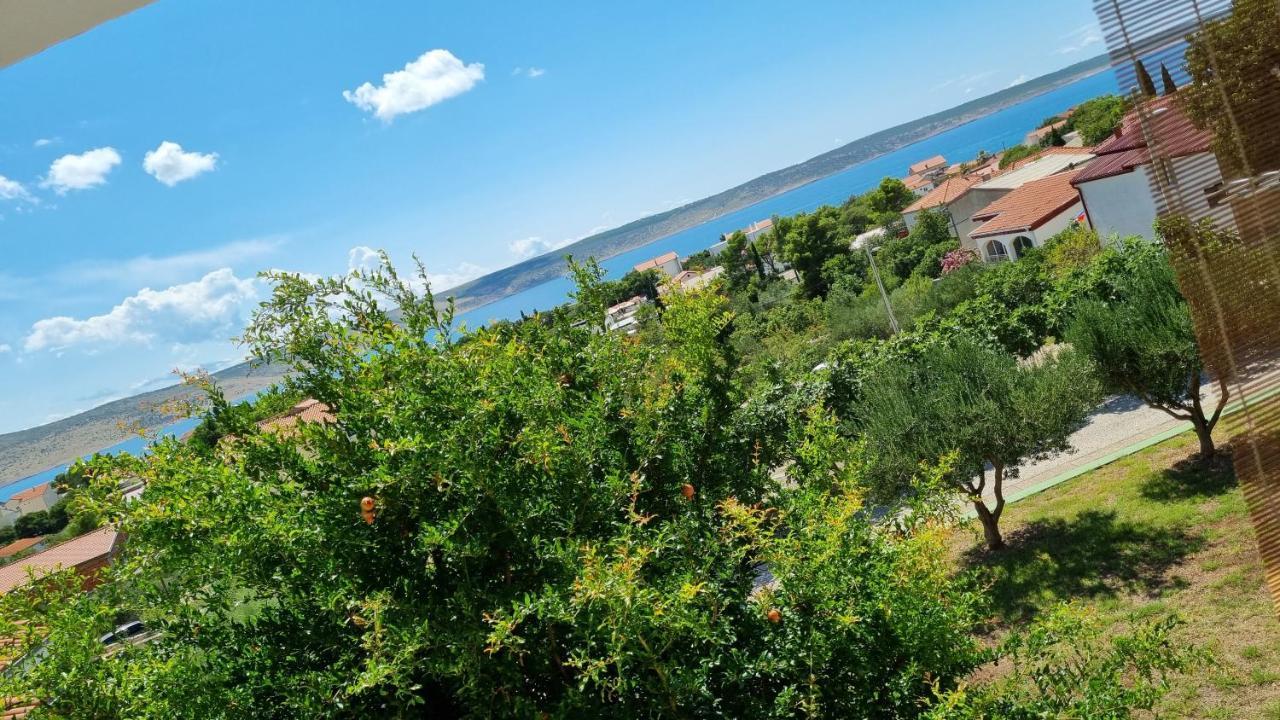 Arts Room Jasmina With Sea View Bikers And Pets Are Welcome Starigrad Paklenica Eksteriør bilde